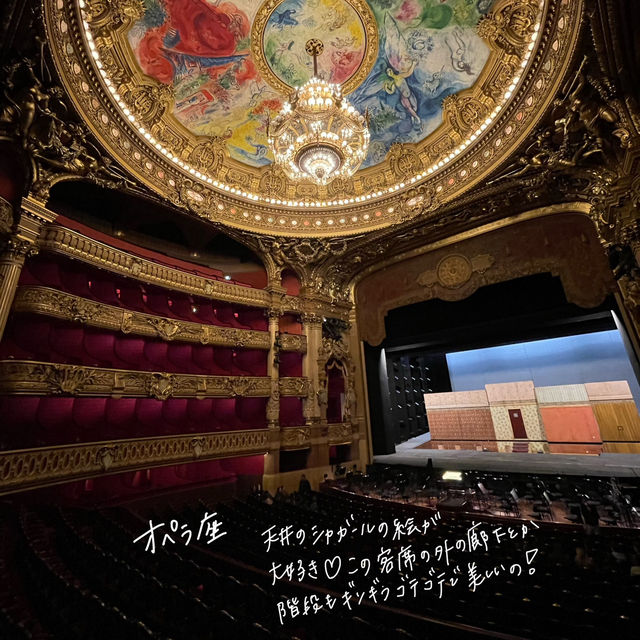 パリの王道観光をご紹介🇫🇷