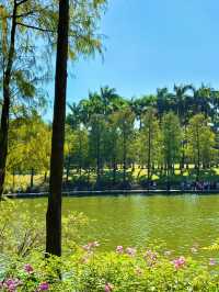 🌊 珠海海濱公園：悠閒漫步的城市綠洲 🌿