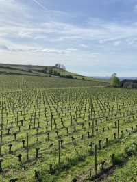 Saint-Émilion: A Timeless Wine Lover’s Paradise