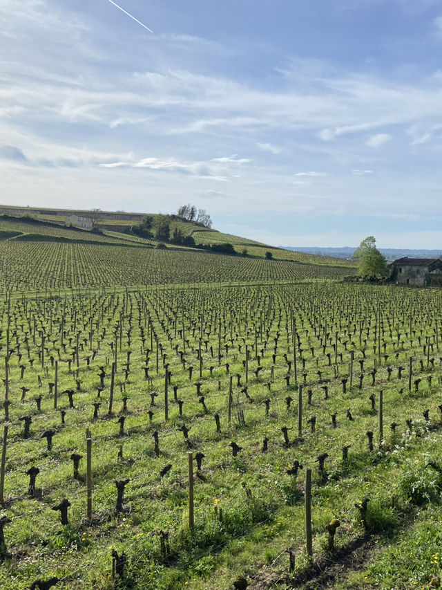 Saint-Émilion: A Timeless Wine Lover’s Paradise