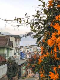 Da Lat – A City Where Time Slows Down