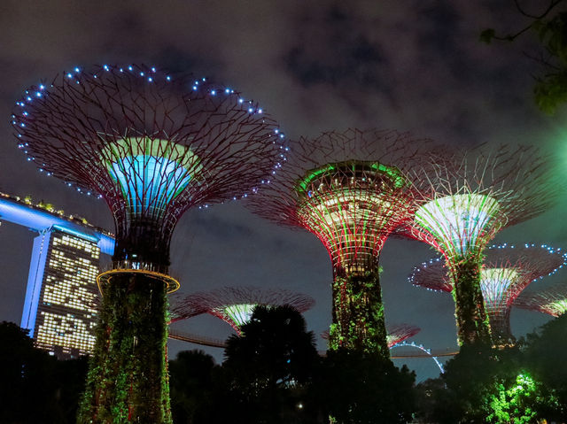 Gardens by the Bay 🌿✨🇸🇬