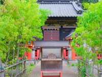 【駿府城下町（②徳川家の開明と城郭）】（静岡県静岡市　旧国名：駿河）