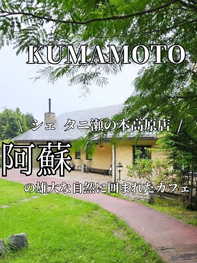 ■阿蘇の癒しカフェ