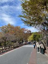 【近江八幡】半日満喫プラン