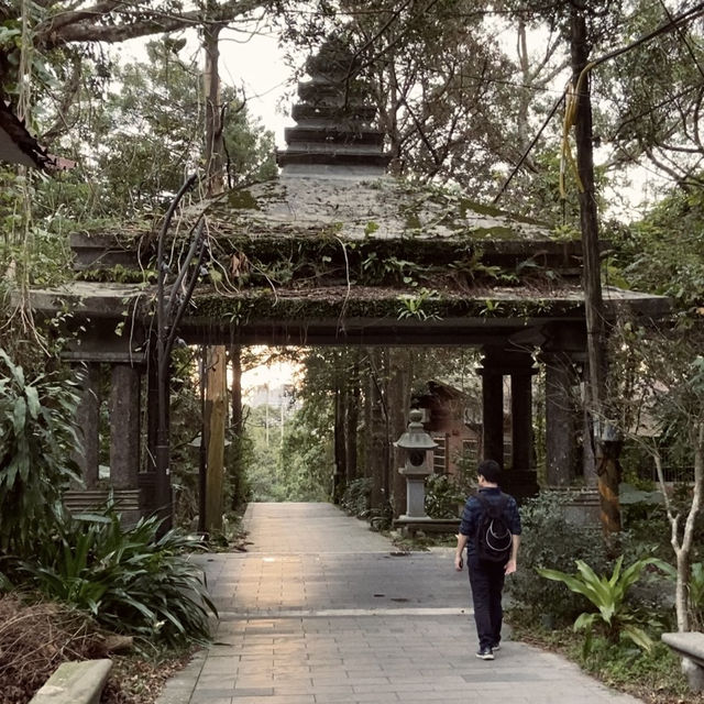 幽靜古樸的指南宮竹柏參道—彷彿走進日式秘境