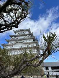 姬路市2日遊