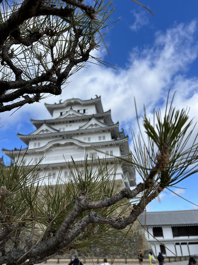 姬路市2日遊