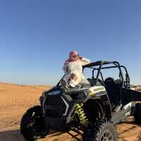 Desert Safari Adventure in a Day! 
