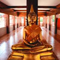 วัดบางตลาด
