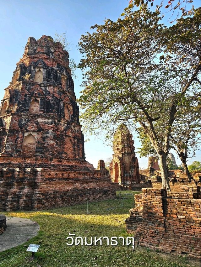 มัดรวม 5 วัดดัง เที่ยวอยุธยา เมืองมรดกโลก ✨️