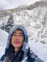 Jigokudani snow monkey Nagano