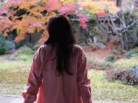 Điểm đến lý tưởng vào mùa thu tại Kyoto