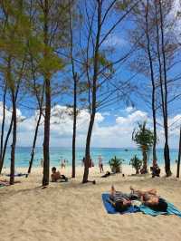 南国パラダイス🌴 JAPANと真逆のPHUKET❗