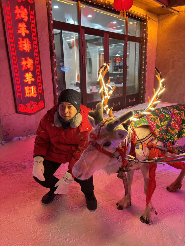 ❄️☃️Snow Town หมู่บ้านหิมะ Harbin☃️❄️