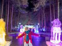 แกะสลักน้ำแข็ง zhaolin  park