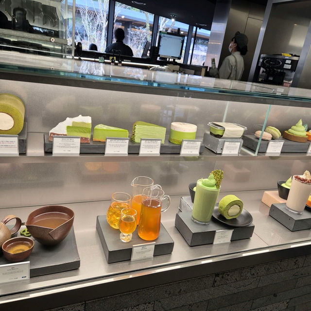 🌳☕️제주 서쪽 가볼만한 곳 오설록 티뮤지엄 