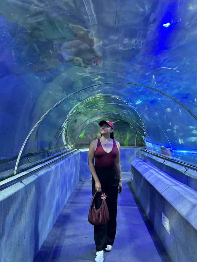 VINWONDERS IN NHA TRANG, VIETNAM 🇻🇳