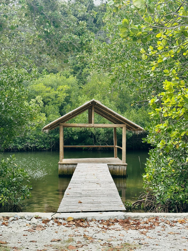 🏝️섬전체가 리조트? 수밀론섬 즐기기!