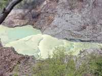 新西蘭｜Wai-O-Tapu 地熱溫泉館♨️