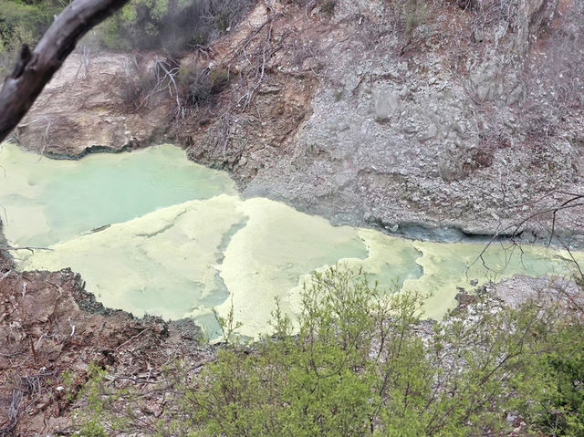 新西蘭｜Wai-O-Tapu 地熱溫泉館♨️