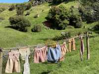 紐西蘭  霍比特村（Hobbiton）旅遊全攻略：魔戒迷必訪的中土世界秘境！