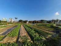 新界北區最新的自然生態公園