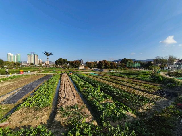 新界北區最新的自然生態公園