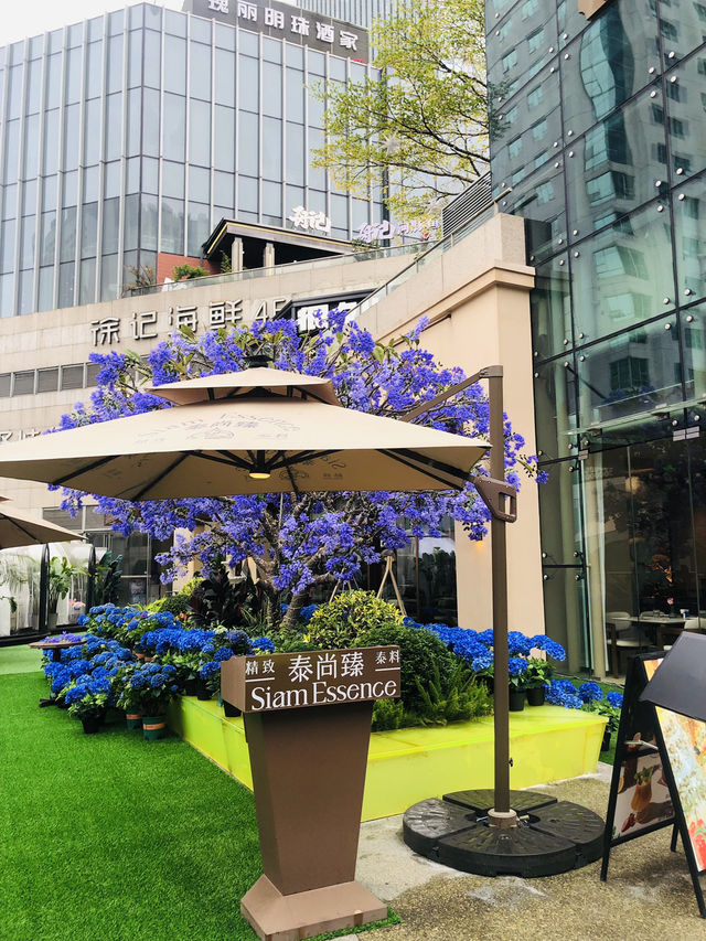 在深圳吃泰國菜不錯的選擇