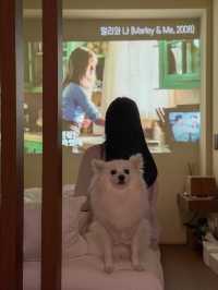 우리 집 강아지와 함께할 수 있는 충주 애견동반 숙소🐶 