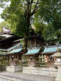 【和歌山県】日本書紀ゆかりの神社
