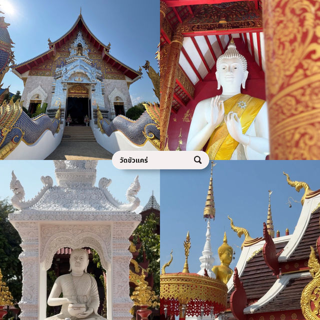 เที่ยวเชียงราย ดอยช้าง 3 วัน 2 คืน 🐑🌳🍃🍵