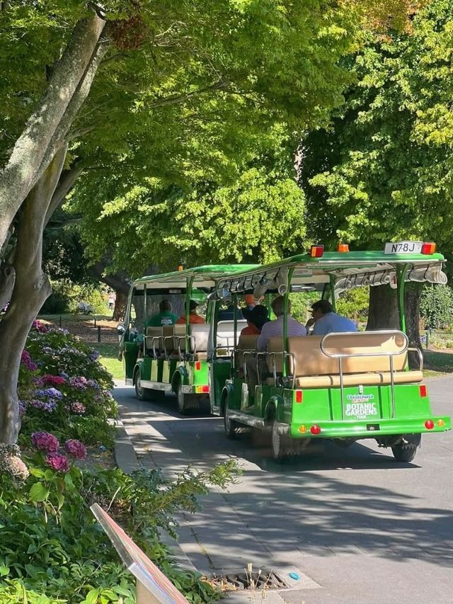 花園城市內的基督城植物園