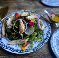 ร้าน The Mustang Blu