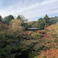 秋に紅葉を見に訪れて欲しい絶景スポット『東福寺』