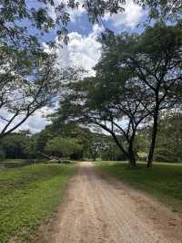 Beautiful wildlife sanctuary 