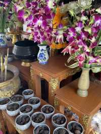 วัดนาคูหา สักการะพระเจ้าต๋น 🙏🏼
