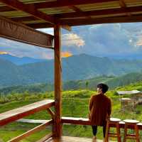 นอนที่พักหลักร้อย วิวหลักล้านของจริงงง⛰️💚🍃