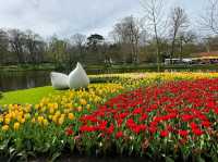 "Keukenhof: The World's Most Beautiful Spring Garden"