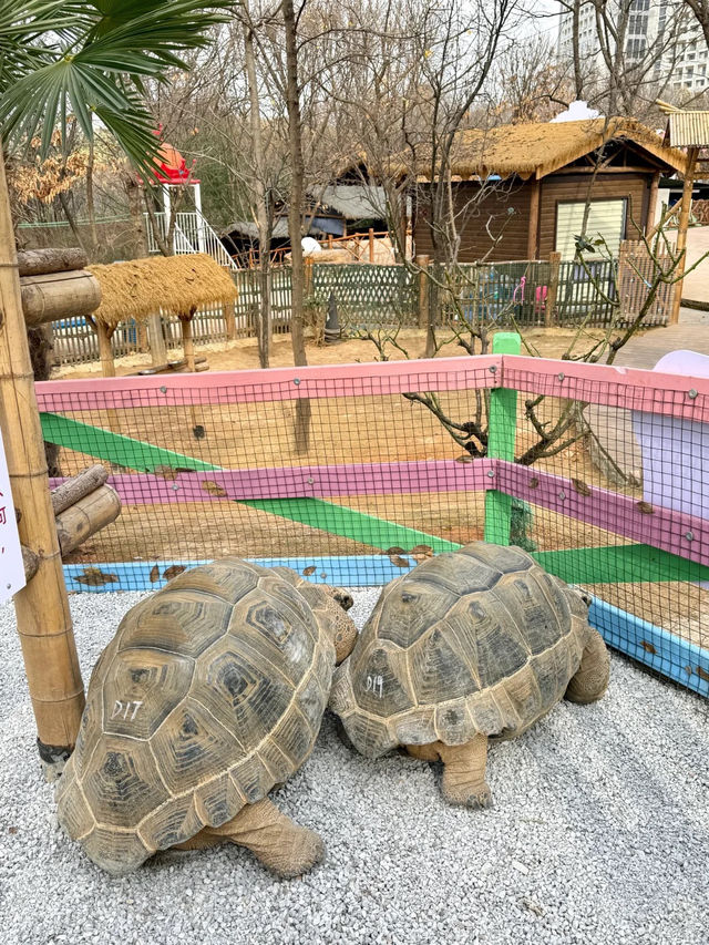 🏜 昆明｜白鹿森林——摩洛哥風情小鎮 🇲🇦