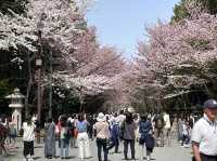 Hokkaido Shrine