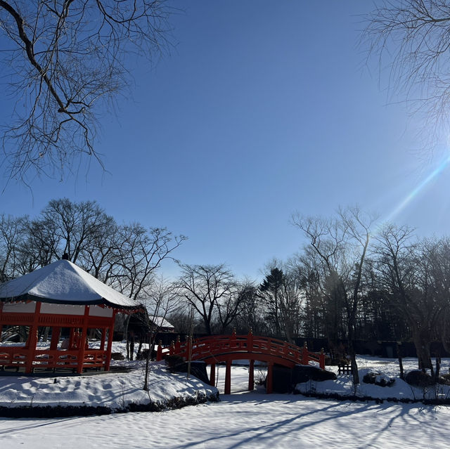 冬日洞爺湖之旅：雪景與溫泉的完美邂逅
