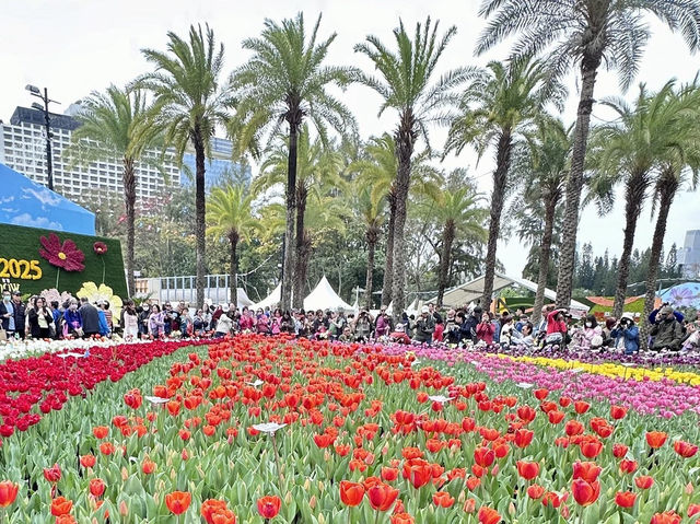 🌷香港2025超大花展又來啦🎀🌸