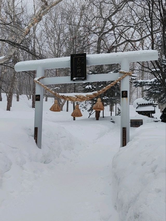 小樽春雪~天狗山觀景台及天狗山神社