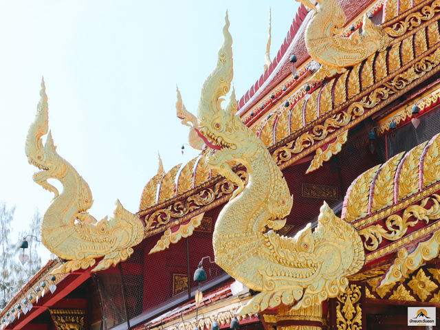 วัดป่าเจริญราช ปทุมธานี