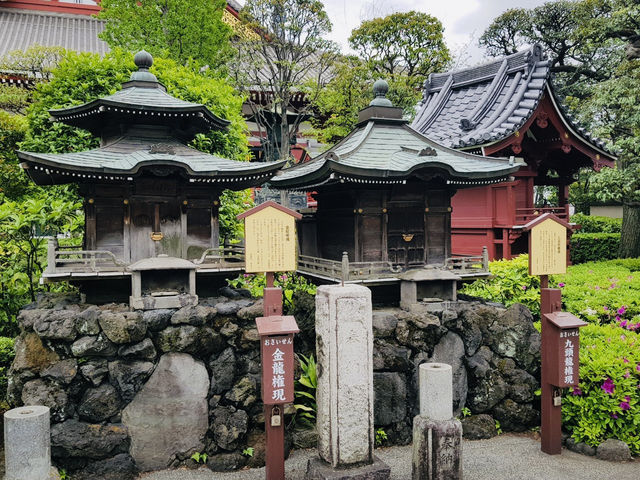 วัด Asakusa ยามเช้า บรรยากาศเงียบสงบ ชิลๆ สบายๆ
