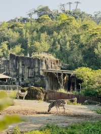 Taipei Zoo 🐒