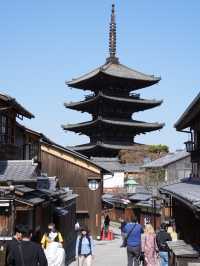 【京都×春旅】  八坂の塔と桜が撮れるスポットは大人気！