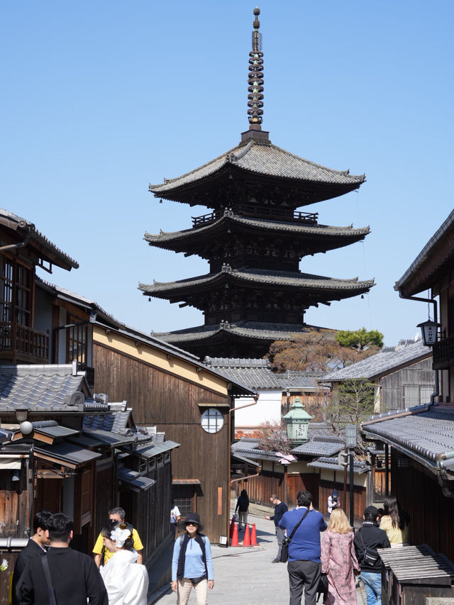 【京都×春旅】  八坂の塔と桜が撮れるスポットは大人気！