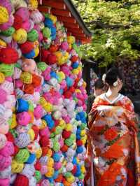 【京都×春旅】カラフルで人気のフォトスポット！